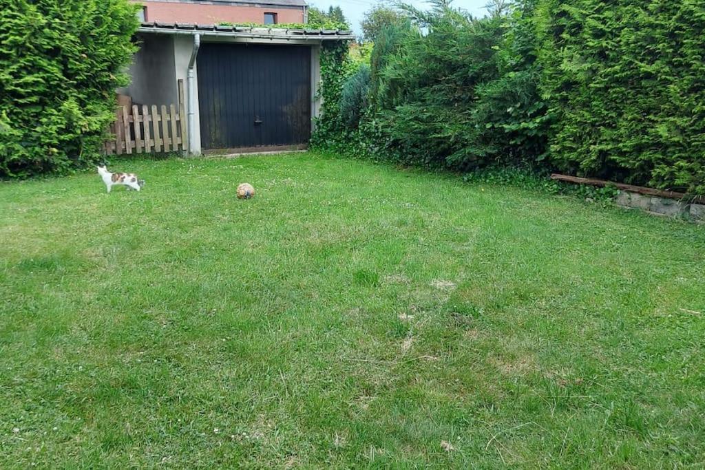 Nazareth Logement Un Magnifique Logement De Vacances Bastogne Zewnętrze zdjęcie